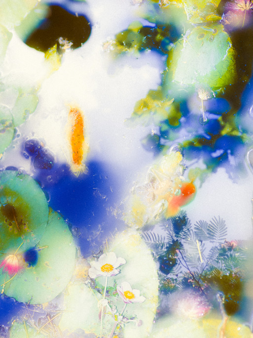 Photo : Etienne Francey