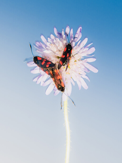 Photo : Etienne Francey