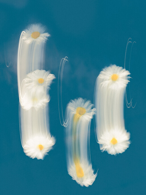 Photo : Etienne Francey