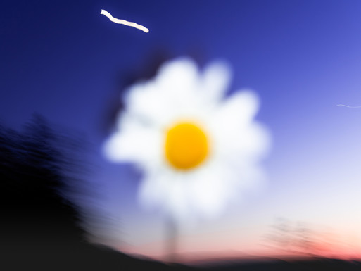 Photo : Etienne Francey