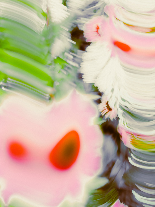 Photo : Etienne Francey