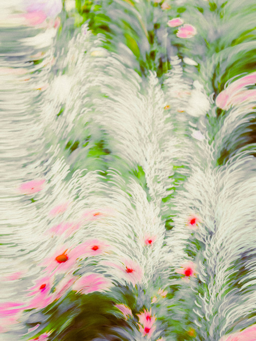 Photo : Etienne Francey