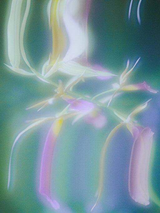 Photo : Etienne Francey