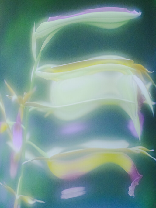 Photo : Etienne Francey