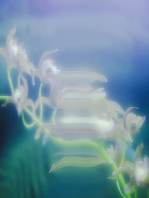 Photo : Etienne Francey