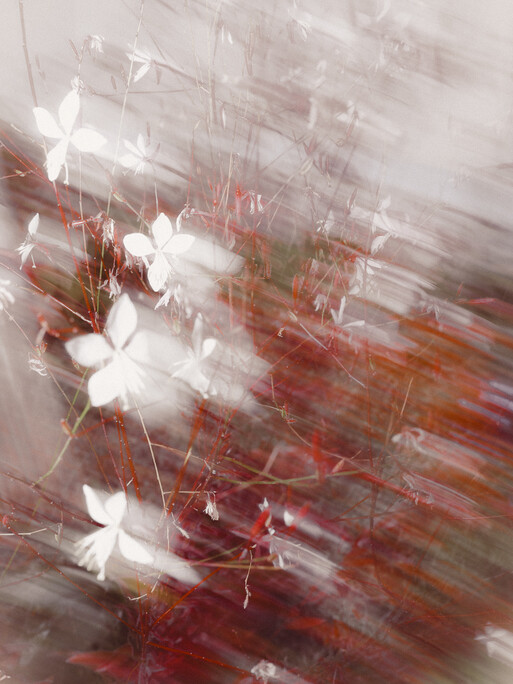 Photo : Etienne Francey