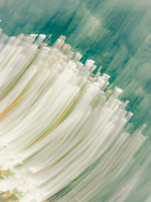 Photo : Etienne Francey