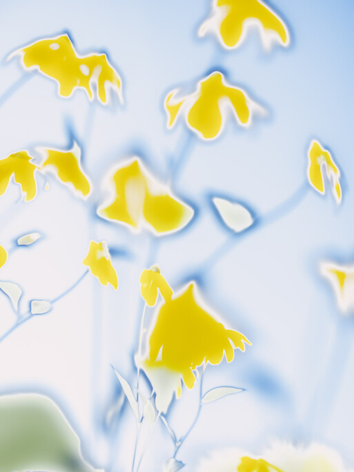 Photo : Etienne Francey