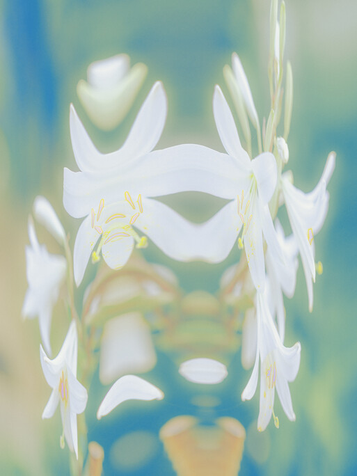 Photo : Etienne Francey