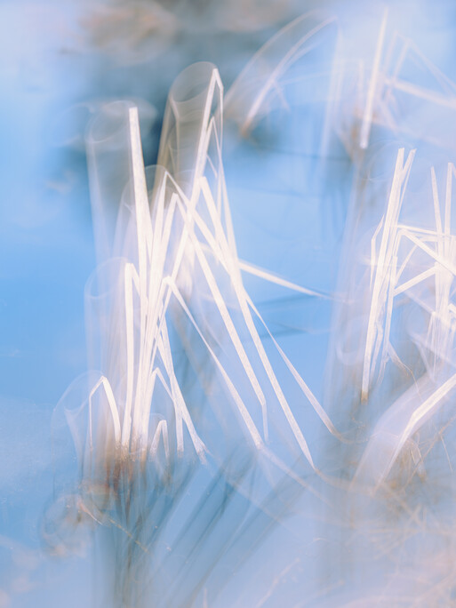 Photo : Etienne Francey