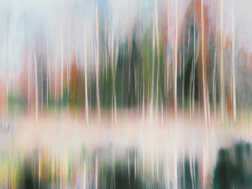 Photo : Etienne Francey