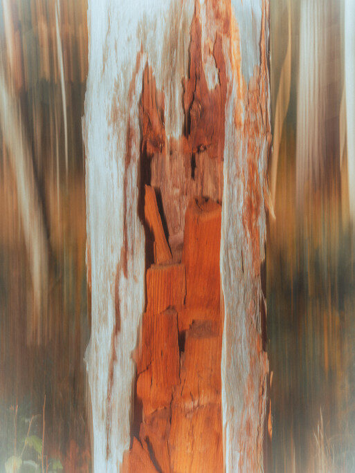 Photo : Etienne Francey