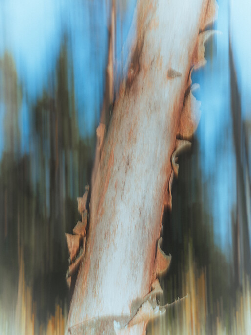 Photo : Etienne Francey