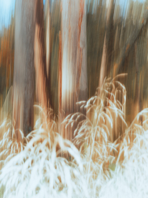 Photo : Etienne Francey