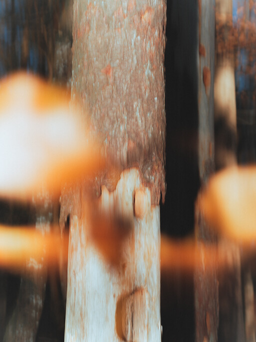 Photo : Etienne Francey