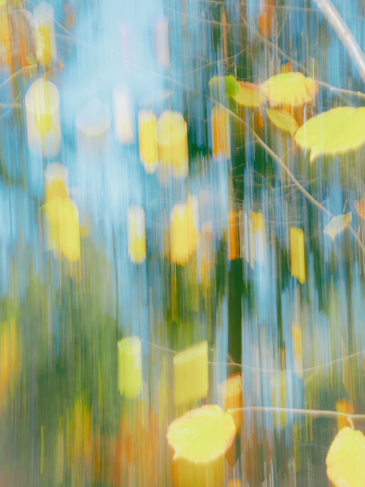 Photo : Etienne Francey