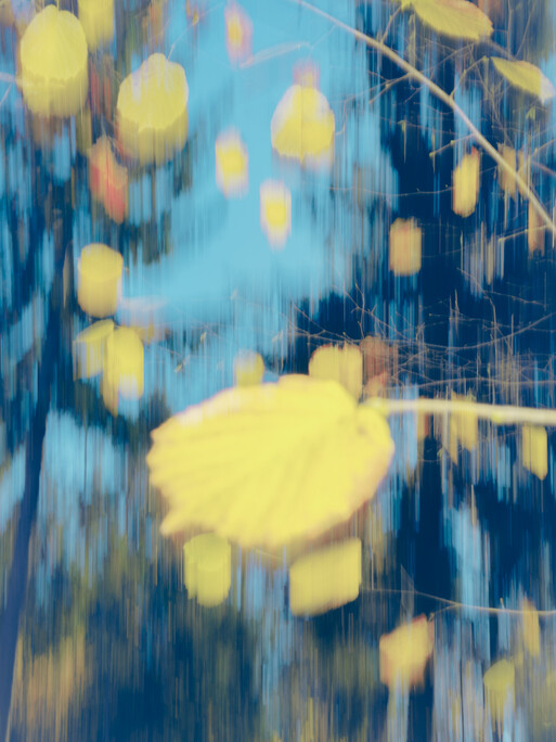 Photo : Etienne Francey