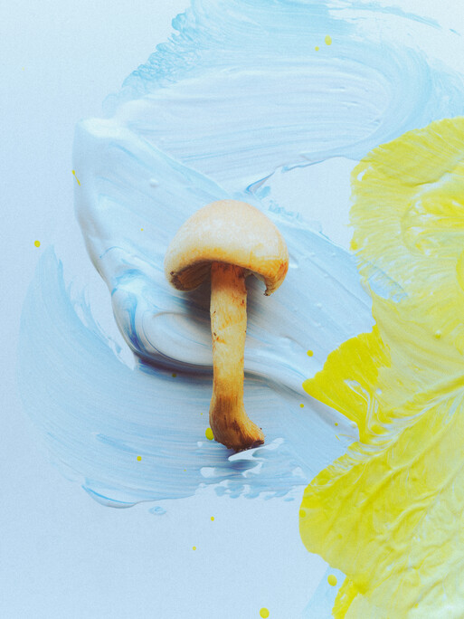 Photo : Etienne Francey