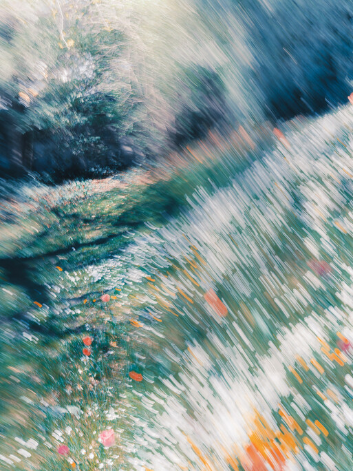 Photo : Etienne Francey