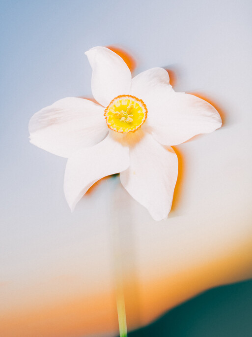 Photo : Etienne Francey