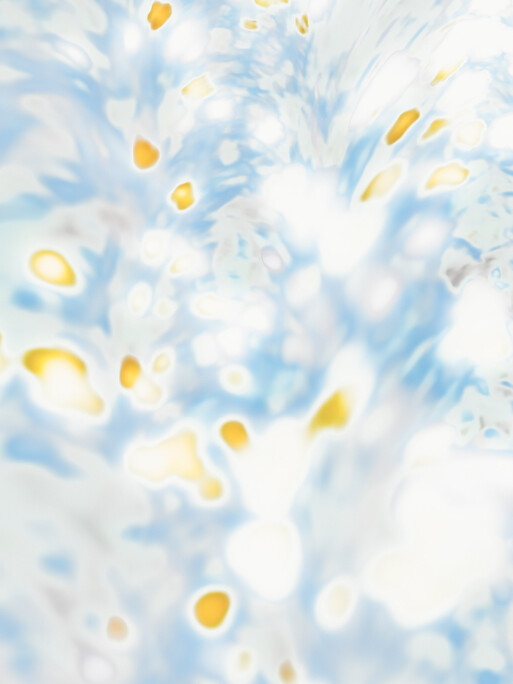 Photo : Etienne Francey