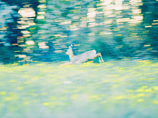 Photo : Etienne Francey