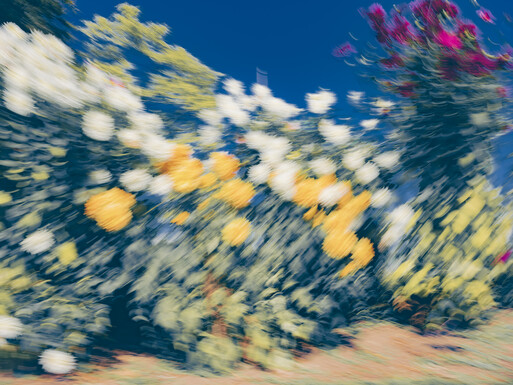 Photo : Etienne Francey