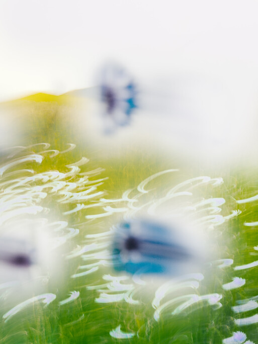 Photo : Etienne Francey