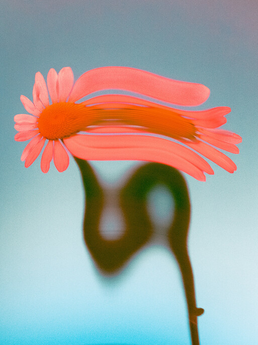 Photo : Etienne Francey