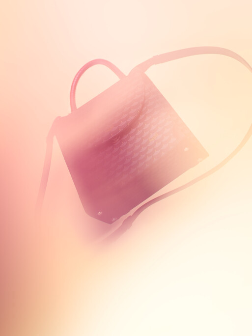 Photo : Etienne Francey