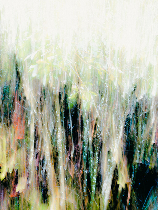 Photo : Etienne Francey