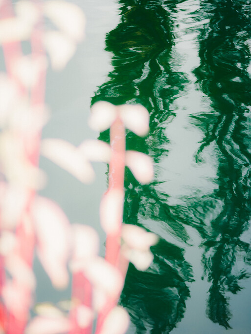 Photo : Etienne Francey