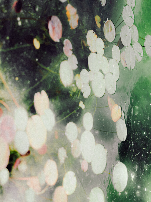 Photo : Etienne Francey