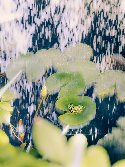 Photo : Etienne Francey