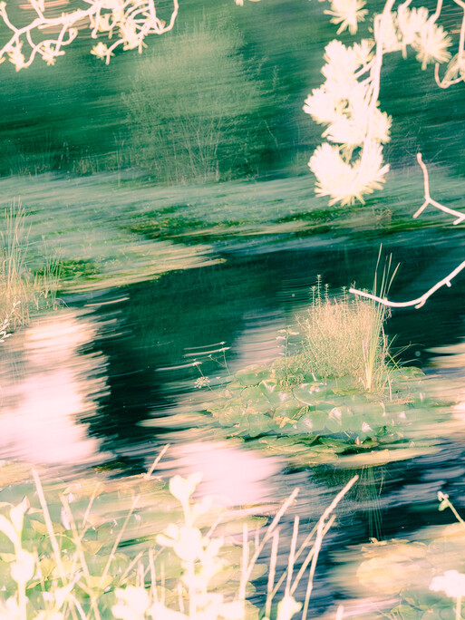 Photo : Etienne Francey