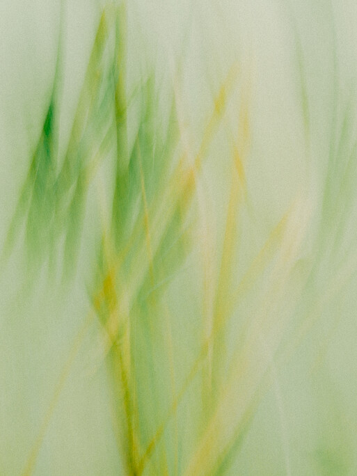 Photo : Etienne Francey