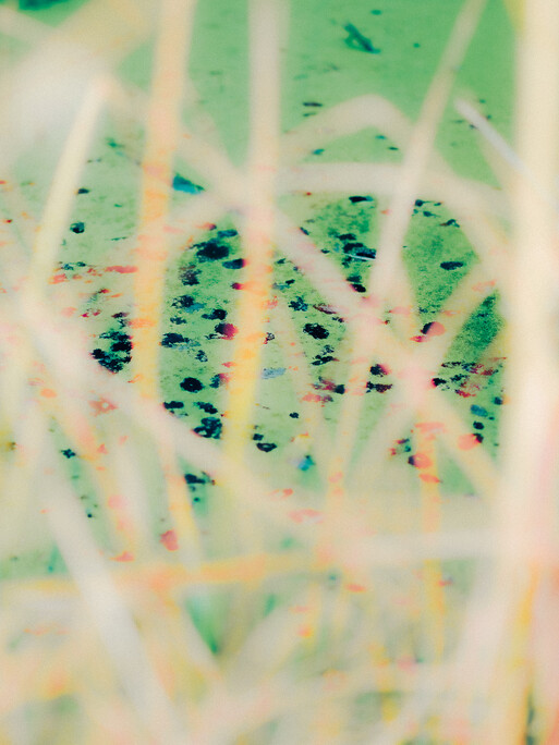 Photo : Etienne Francey