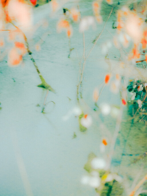 Photo : Etienne Francey