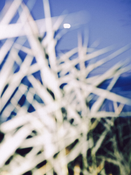 Photo : Etienne Francey