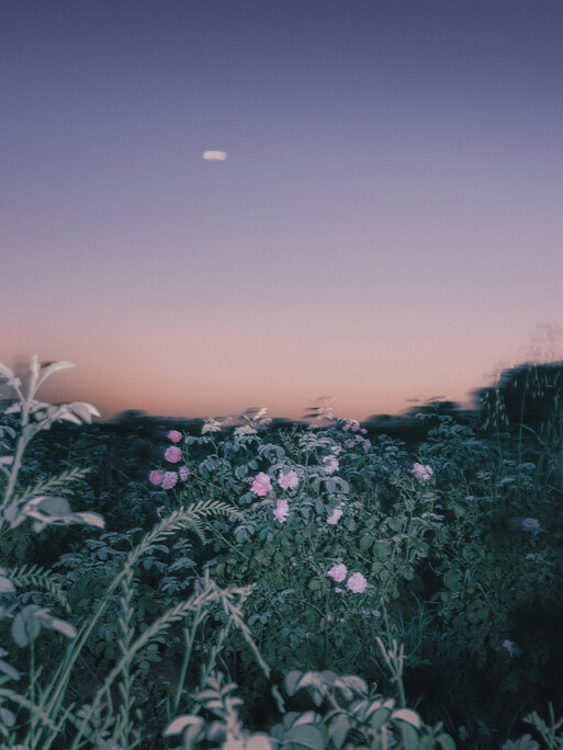 Photo : Etienne Francey