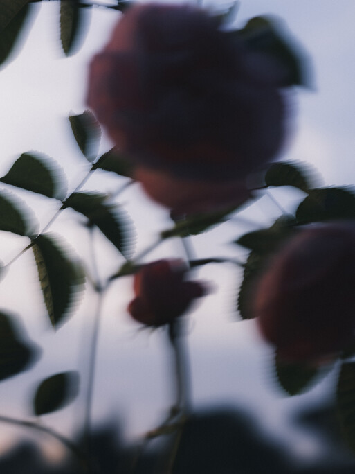 Photo : Etienne Francey