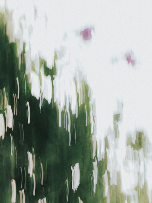 Photo : Etienne Francey