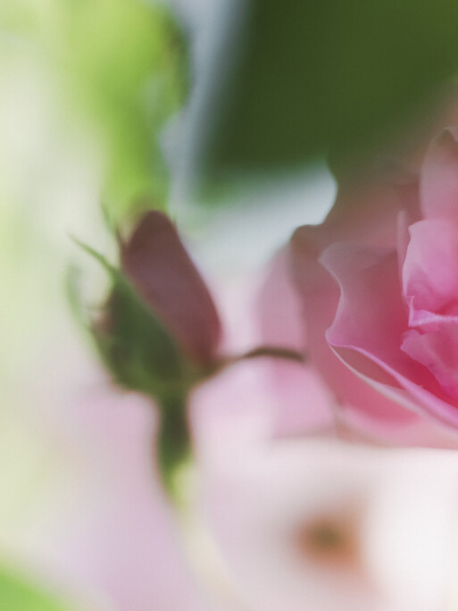 Photo : Etienne Francey