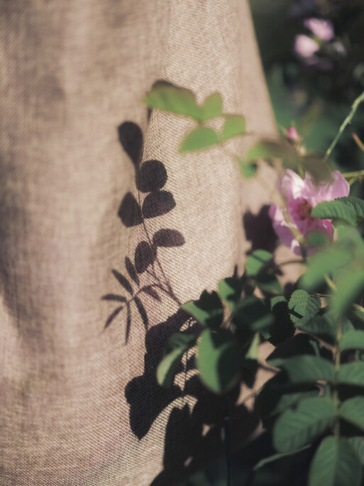 Photo : Etienne Francey