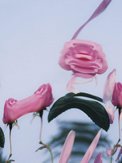 Photo : Etienne Francey