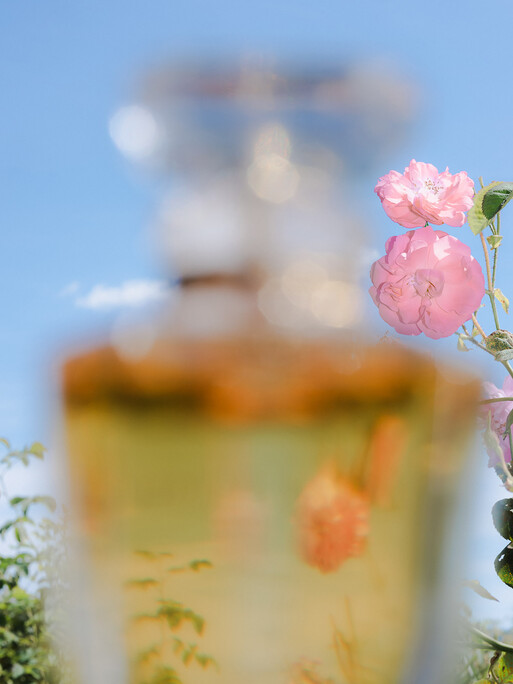 Photo : Etienne Francey