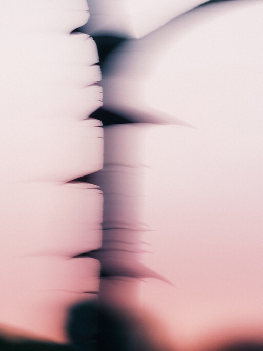 Photo : Etienne Francey