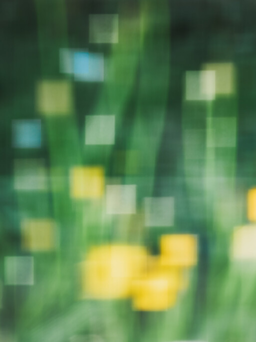 Photo : Etienne Francey