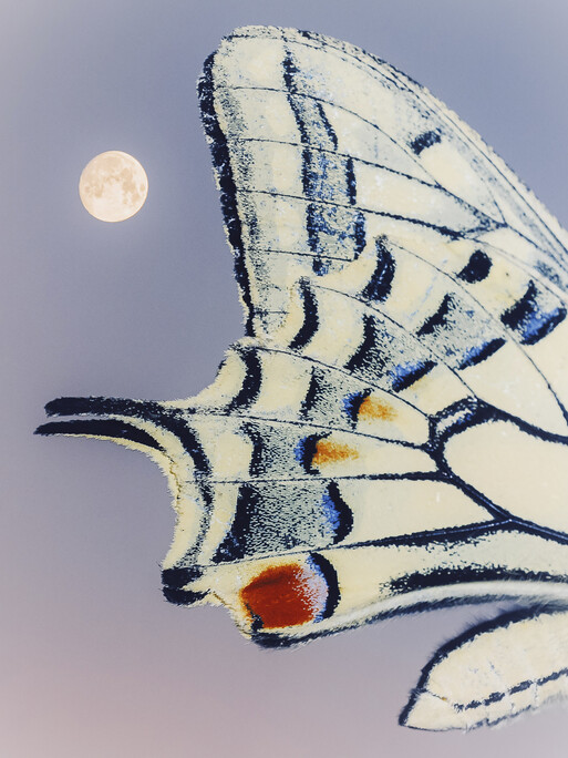 Photo : Etienne Francey