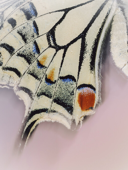 Photo : Etienne Francey